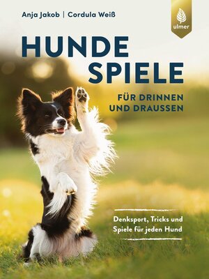 cover image of Hundespiele für drinnen und draußen